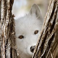 Paula Curtis Photo 36