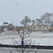 Austin Snow Photo 36