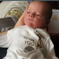 Peter Bush Photo 41 Peter Bush Photo 41