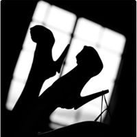 Catherine Petty Photo 10