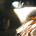 Jorge Barraza Photo 15