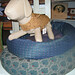 Lisa Scalf Photo 7