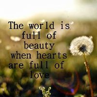 Kristy Schmidt Photo 11