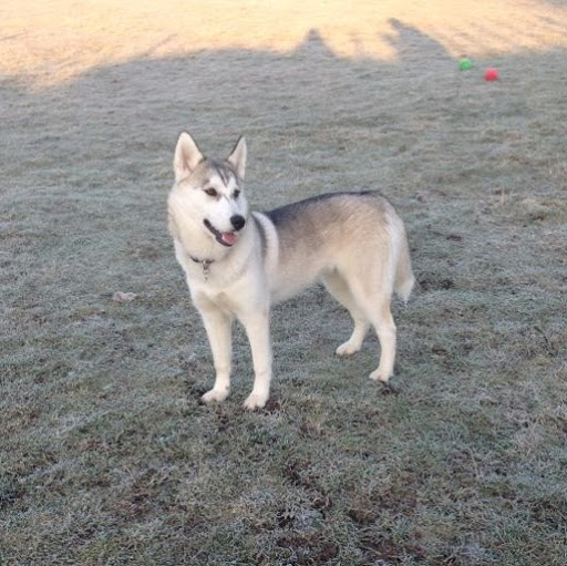 John Fallon Photo 42 John Fallon Photo 42