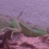 Efrain Vazquez Photo 11