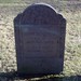 Ann Stevens Photo 20