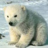 Edith Salazar Photo 9