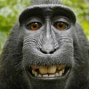 Michael Dunlop Photo 24 Michael Dunlop Photo 24