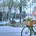 Anita Beverly Photo 3