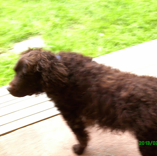 Lois Kerr Photo 29
