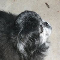 Sandra Wheeler Photo 43