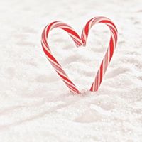 Lynn Reeder Photo 12