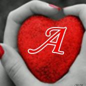 David Ransom Photo 28