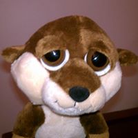 Raymond Howe Photo 18