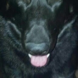 Tiffany Dodd Photo 16