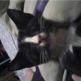 Jill Browning Photo 23