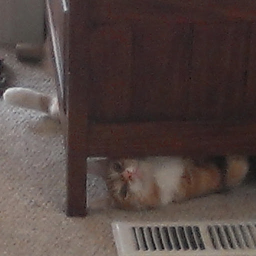 Christine Barger Photo 3