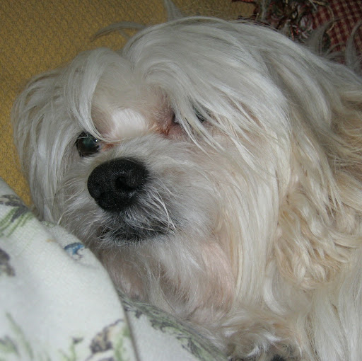 Beth Mccurdy Photo 7