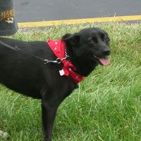 Lori Vaughan Photo 18