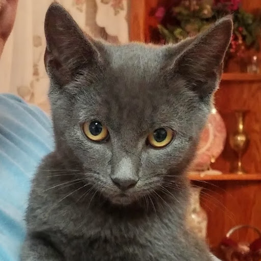 Robin Riggins Photo 24