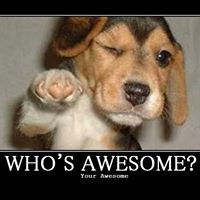 Matthew Harper Photo 14