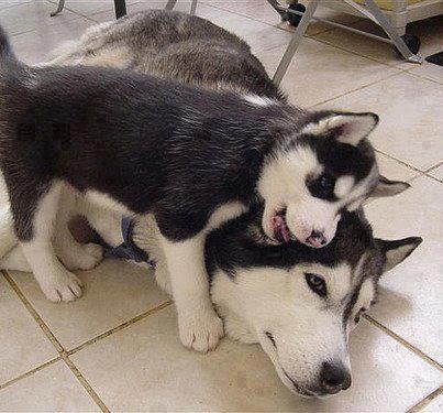 Cassandra Roberts Photo 17