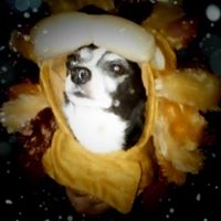 Jessica Irwin Photo 15