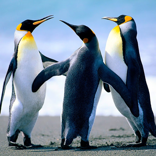 Maxine Levy Photo 10