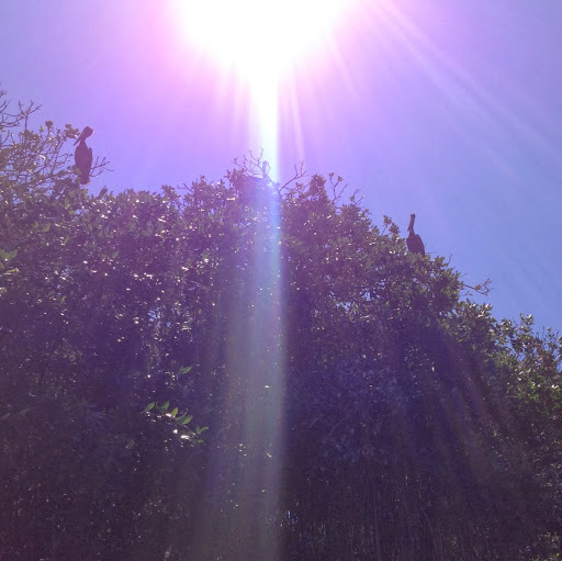 Ramon Trujillo Photo 11 Ramon Trujillo Photo 11