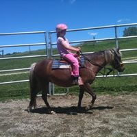 Ann Ramirez Photo 23