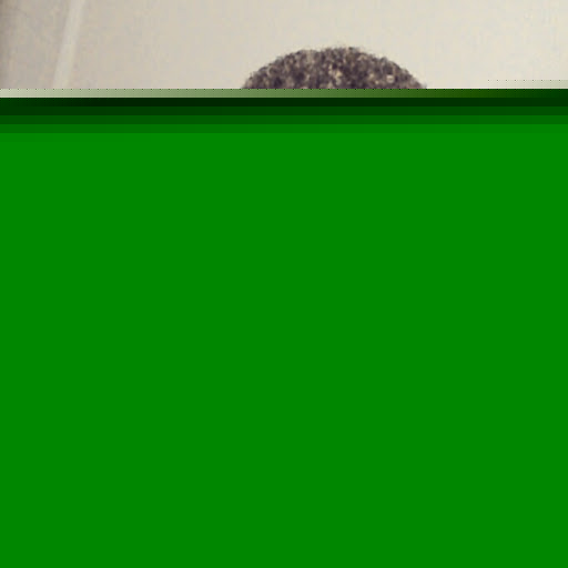 Rachel Thompson Photo 29