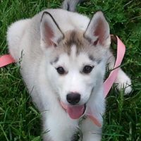 Jennifer Edgington Photo 17