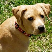 Helena Robinson Photo 43