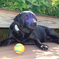 Mary Lilley Photo 35