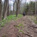 Steve Cross Photo 39