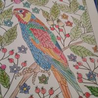 Sandra Bankston Photo 5