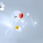 Michele Rosenbaum Photo 4