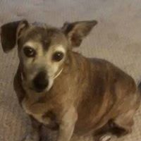 Sandy Helms Photo 17