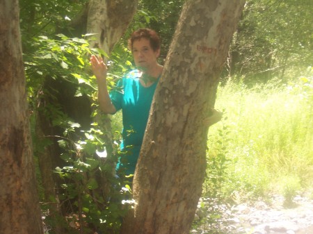 Nancy Miles Photo 19