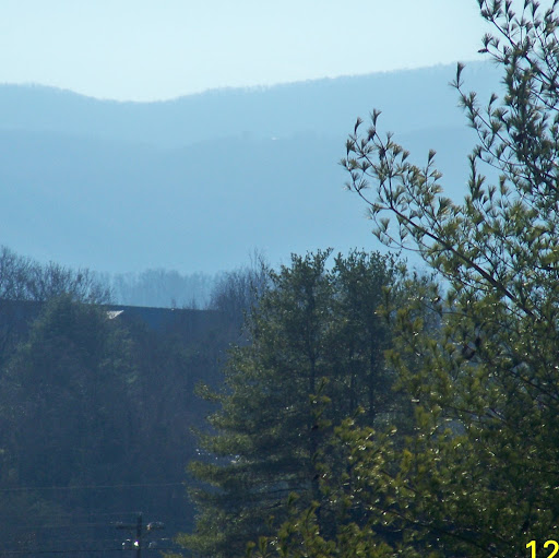 Tina Mccloud Photo 2