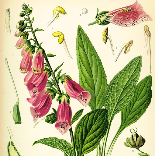 Lori Gibson Photo 49