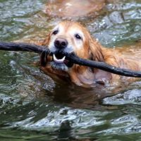 Holly Davies Photo 23