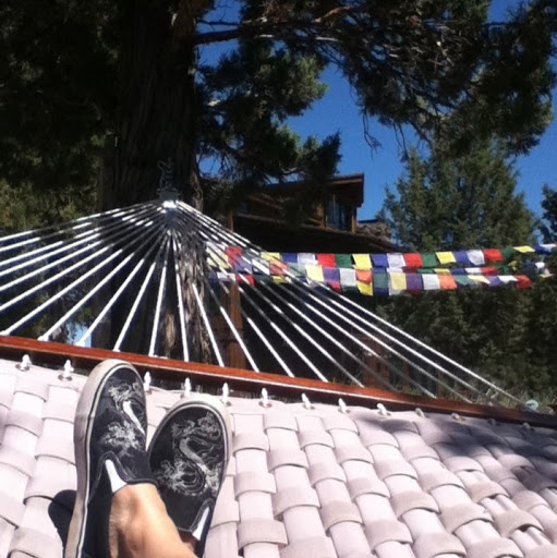 Michelle Olson Photo 27