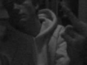 Michael Trainor Photo 15