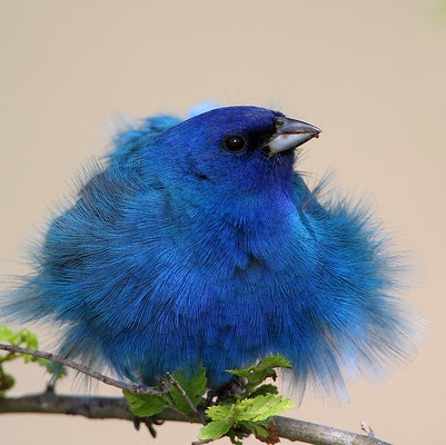 Jillian Shields Photo 6