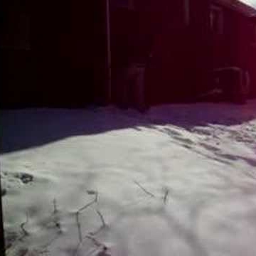 Andrew Adkins Photo 19