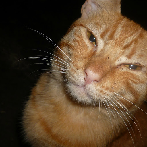 Erick Gonzales Photo 35