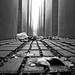 Peter Salas Photo 23
