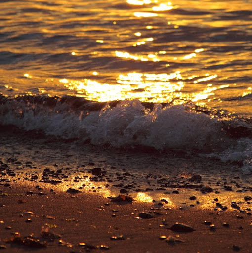 Laura Ledbetter Photo 5