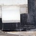 John Wille Photo 10